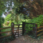 Webtree Allensmore (67)