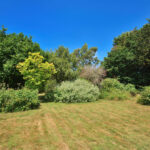 Webtree Allensmore (77)