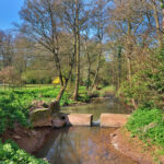 Coachmans Cottage Rowden (10)