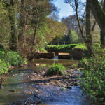 Coachmans Cottage Rowden (23)